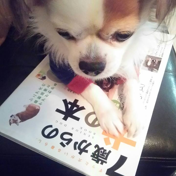 Ac523000 831c 459f 85cd e4a3c7eb3fd9