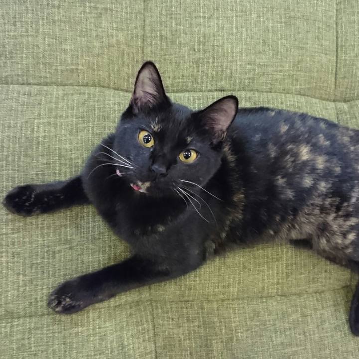 Ac524505 2ce4 4e83 aa06 d92d9bc9189d