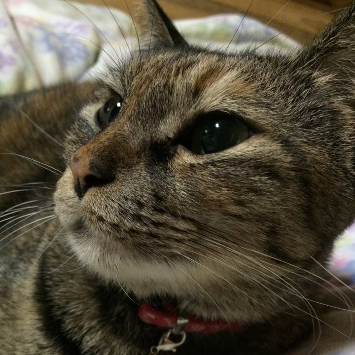 Ac52bd9e 4170 4f6e 8df5 d83f86965089