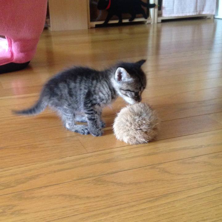 Ac52dd74 d39d 46d7 a9fe 725f7816f02d