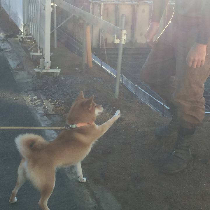 Ac530507 2d52 4903 ad9a 7b2fdbd5315b