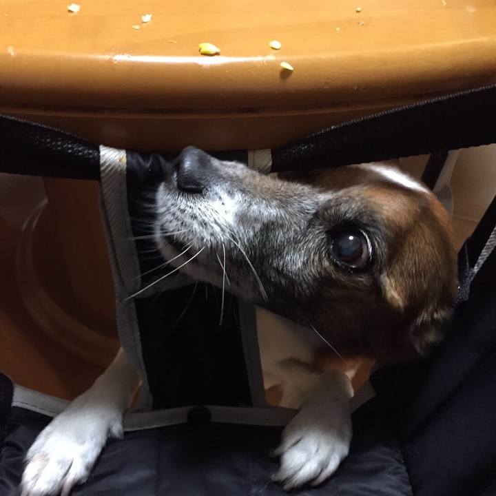 Ac53656a f701 4b4c a3b4 baaca1b0fd4b