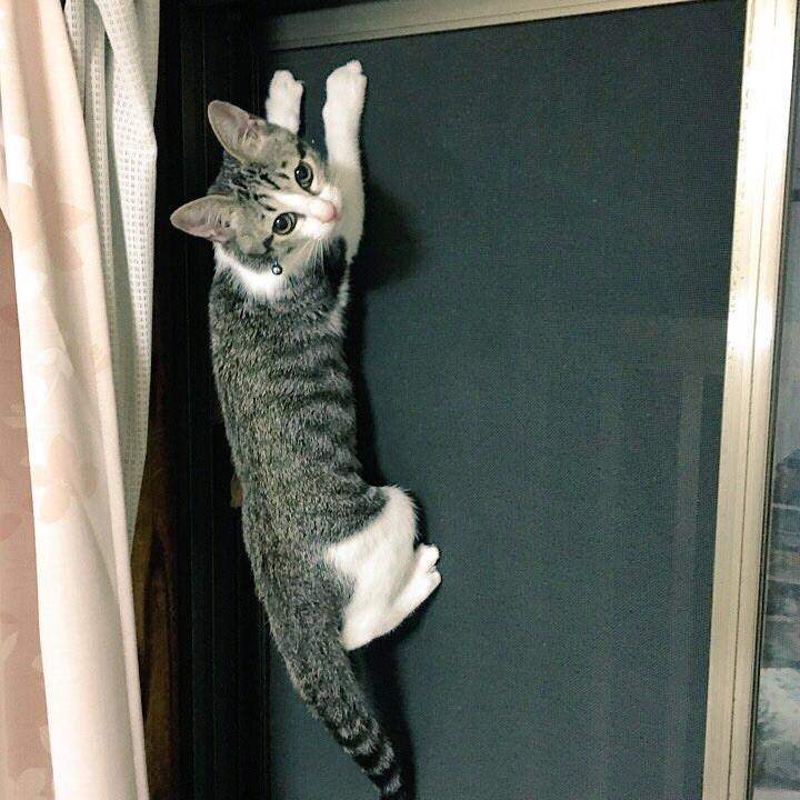 Ac53707b a2e6 4b6a a19d 3ffce839fa5c