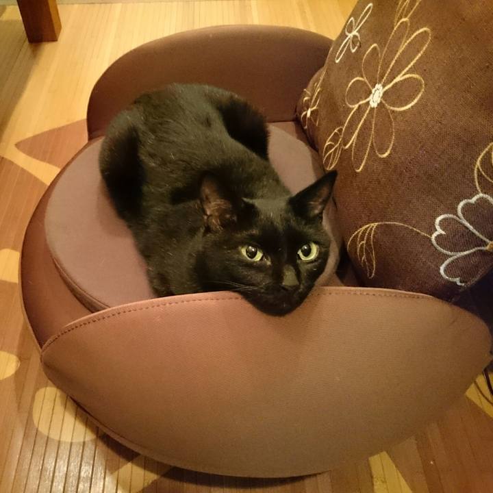 Ac5397d4 500f 4779 933e 5abcdd533935