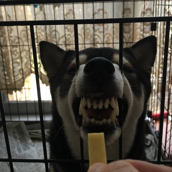 Ac53f99f a8cc 46f3 8e64 d446f9972e93