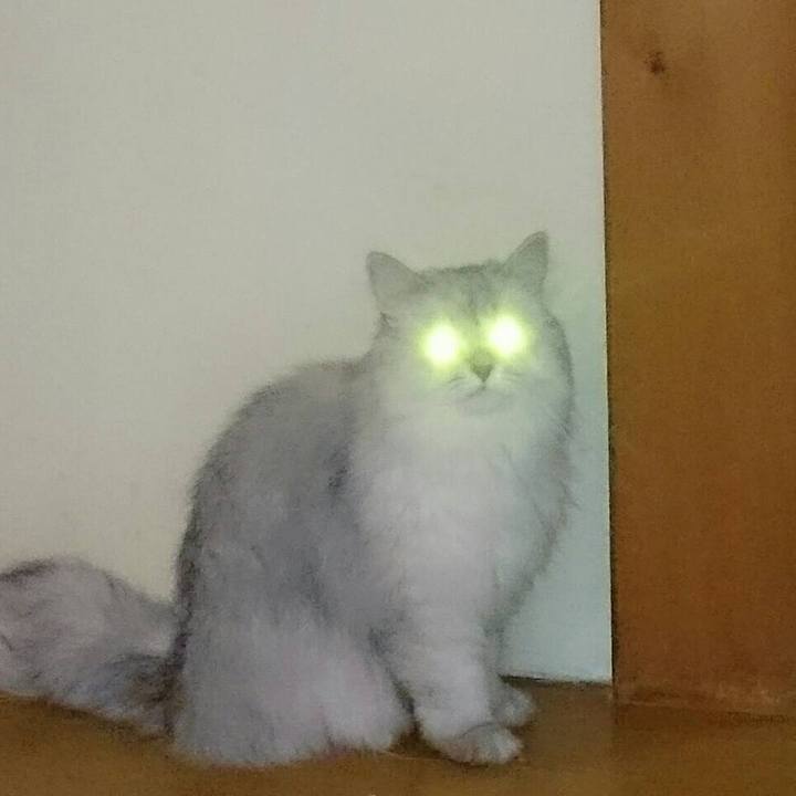 Ac5456ed 88ac 4043 abd5 9bfbe318f151