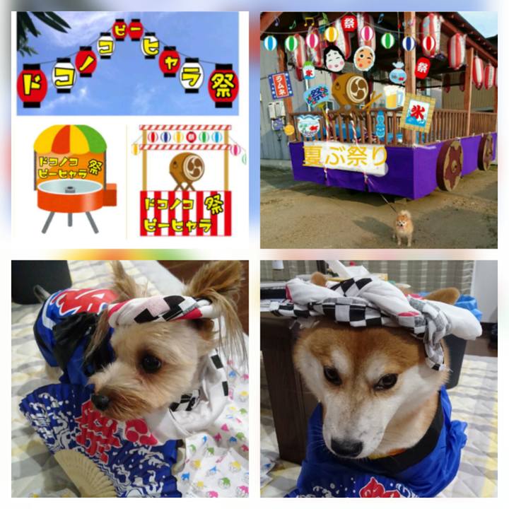 Ac545768 5dc7 477d 9d15 47e50193a2aa