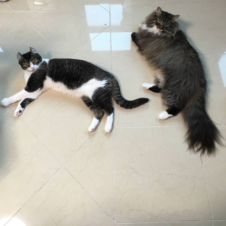 Ac551d5b 5eff 44cb 8394 9827ebdfb53d