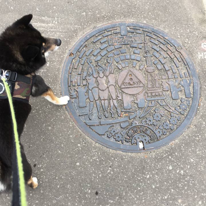 Ac554b5e 3148 4b5a a376 8821306ce3d7