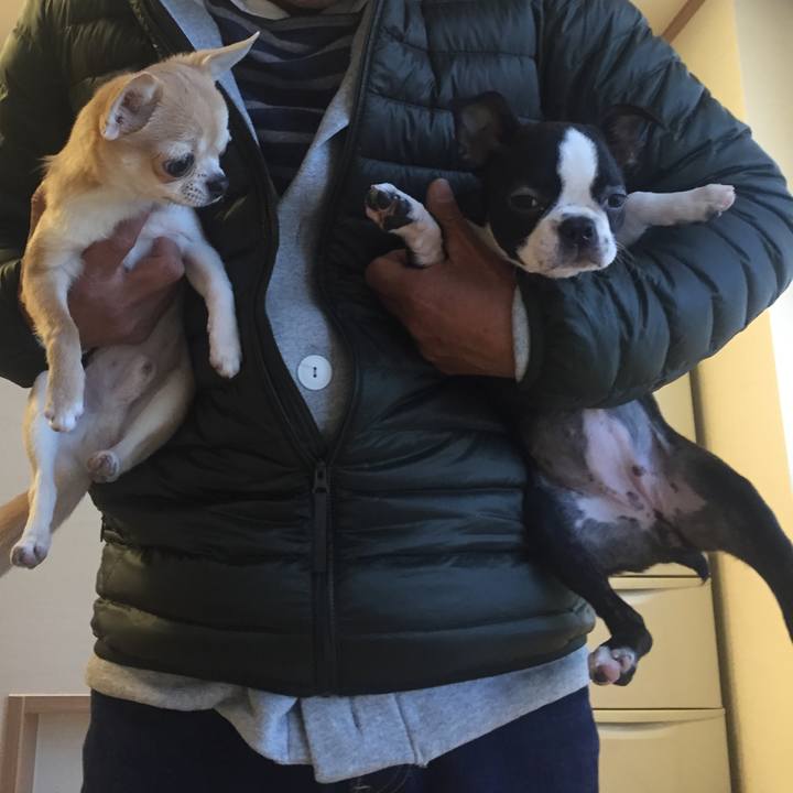 Ac560267 6f31 4c00 adc3 4d460062efd9