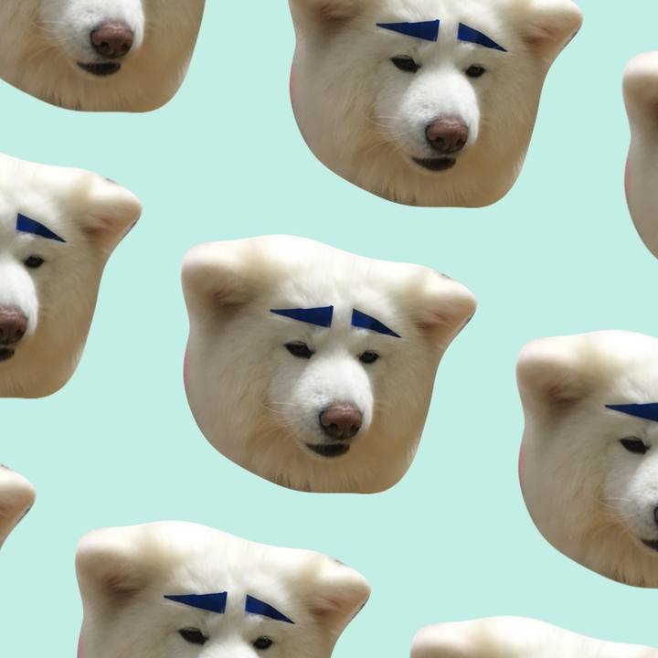 Ac56cbd0 fdb4 4041 a422 664d6dddd8c7