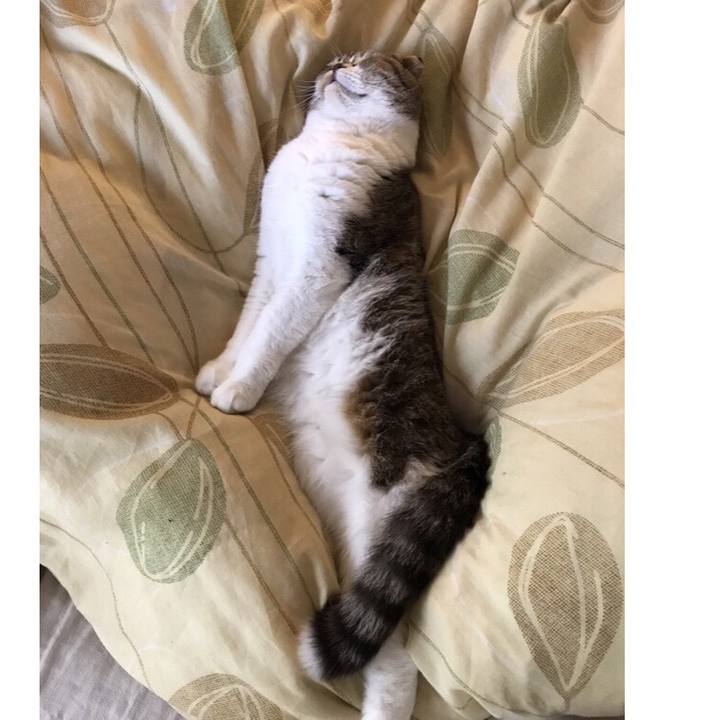 Ac56ccee ea8f 4601 b57d 518c2b8b7110