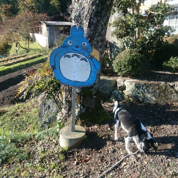 Ac56eef1 5510 42bf adc4 27c0f0049645