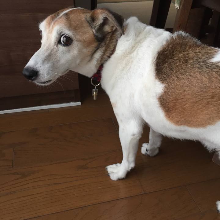 Ac570f5f f651 4a20 be51 9d049c61746b