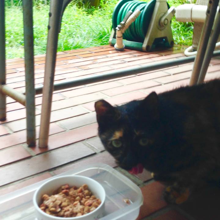 Ac572ff5 f976 4e52 a349 12a7e19f21ee