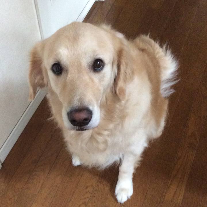 Ac576dc1 97b4 47f2 9701 414ca0d8ec77