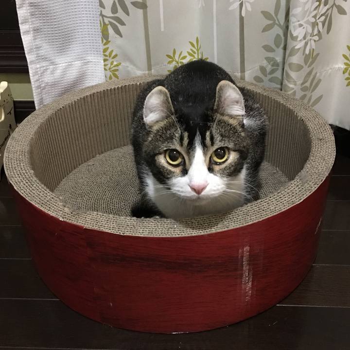 Ac577090 fa41 450f ace3 7845b56554f3