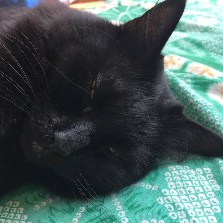 Ac577c5f d2ed 467d b138 8d415c258b89