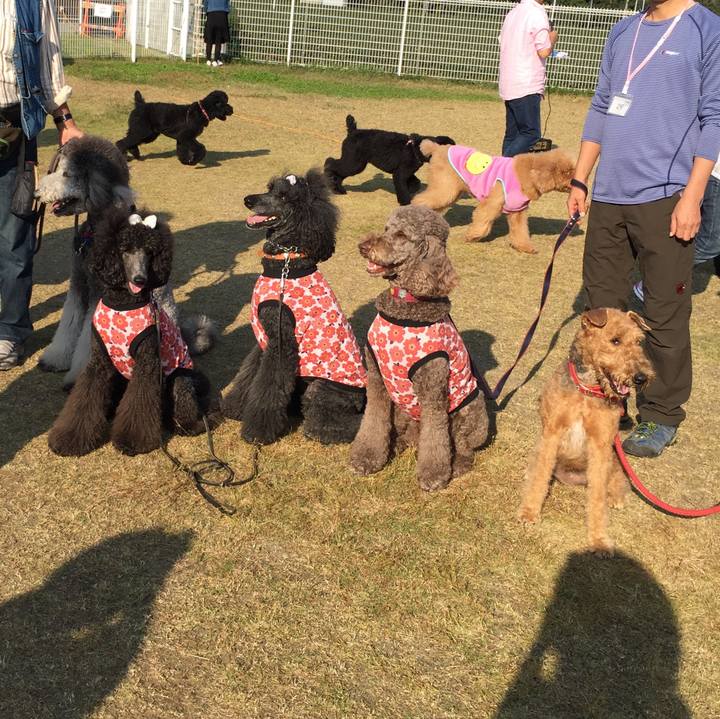 Ac5818ba 9901 4170 a940 f869d1627b49