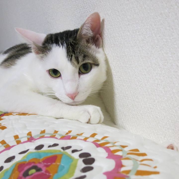 Ac583147 ce07 4bd4 a797 821a8f5daeea