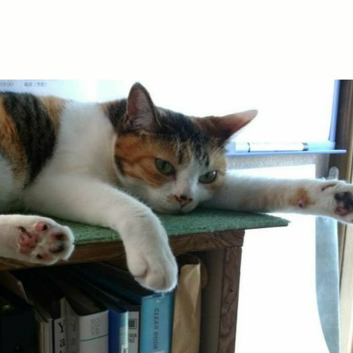 Ac584b95 d57a 4b4a aa93 c78241d0d9b1