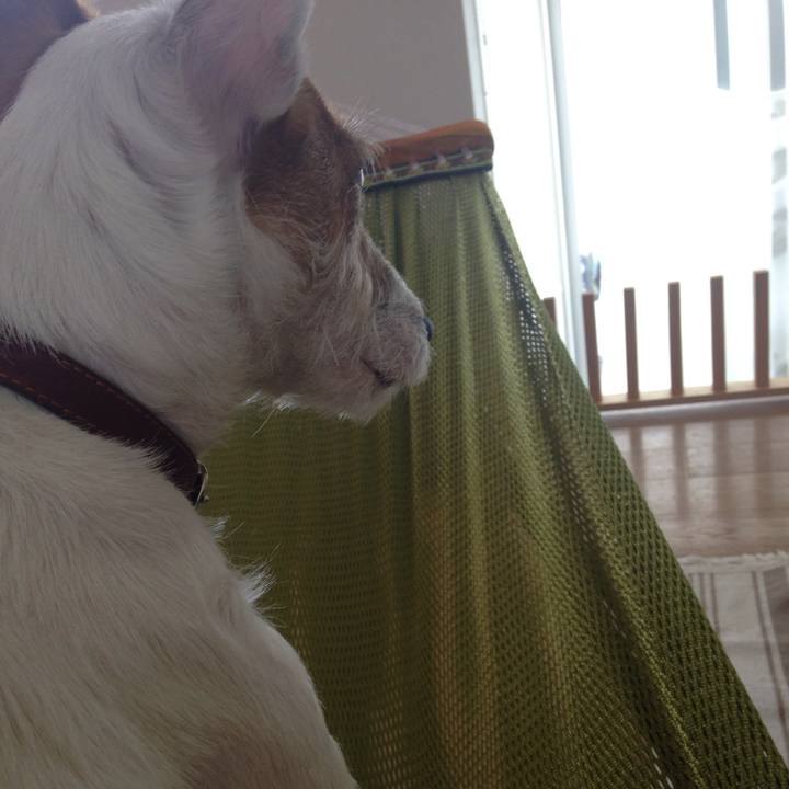 Ac58e60b 66ce 4dde aae8 87b917853dd3