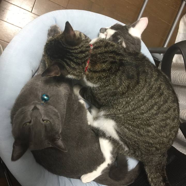 Ac58f63a 72af 4c07 a662 762e1be227d0