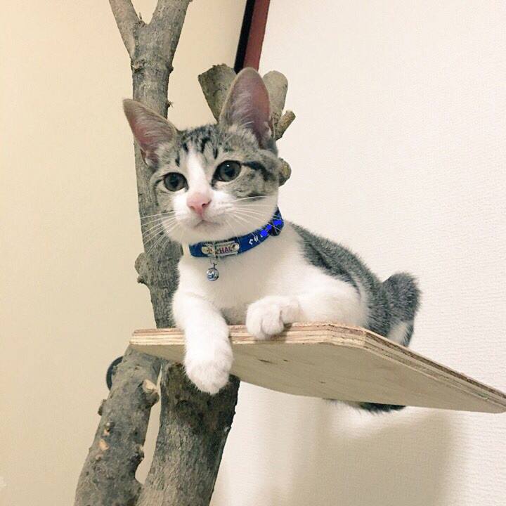 Ac592ce4 8b75 4b56 878a 935d5091f51f