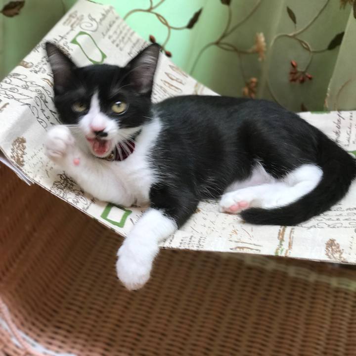 Ac59b74f c117 4a74 81da 76b0380c2870