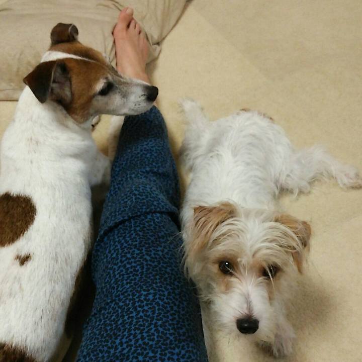 Ac59bafe d13e 4d7c 93a0 67f7869c6500