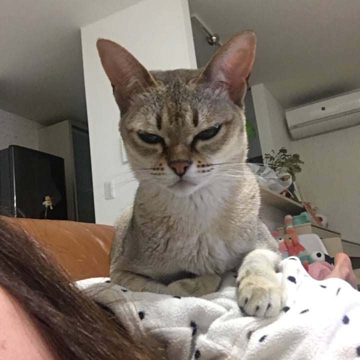 Ac59dba7 a667 4aac be33 ec7212fe167d