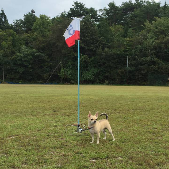 Ac59dcce 4960 403f 8887 1b0a84a4227a