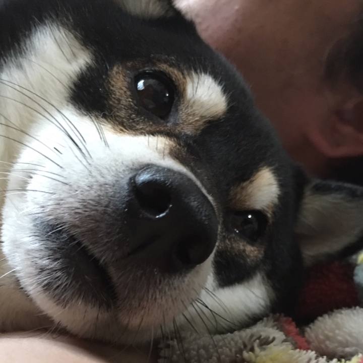 Ac5a717d 6569 406e 8d4d ac7724375801