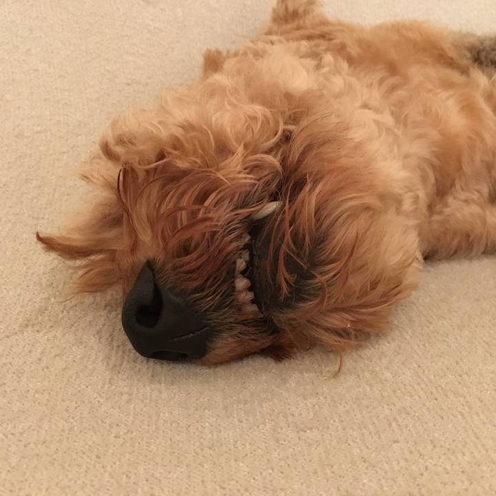 Ac5aba38 309c 4aaf a706 7542aab295fa