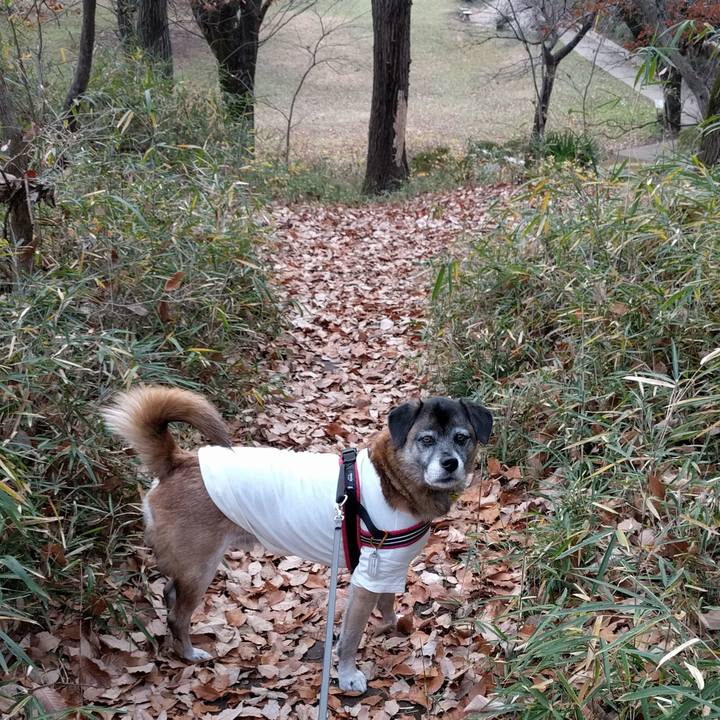 Ac5acc15 73ef 4a4d b063 cc06396b7173