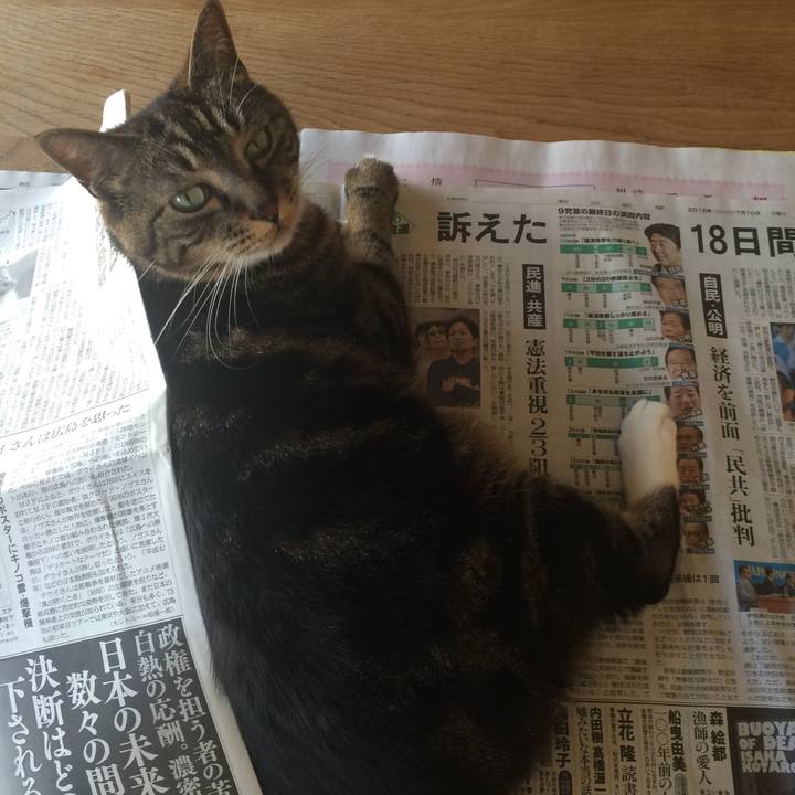 Ac5ad0ef 0490 4542 a3cb e31c0468dd1d