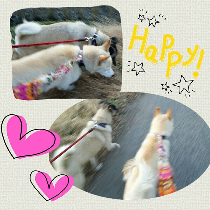 Ac5ae10a 28cb 4027 a81e 83430281cbca