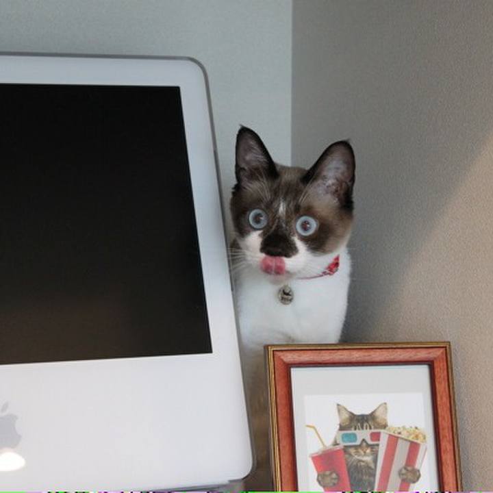 Ac5afd38 7cee 4906 afcc 8cbcb77dd451