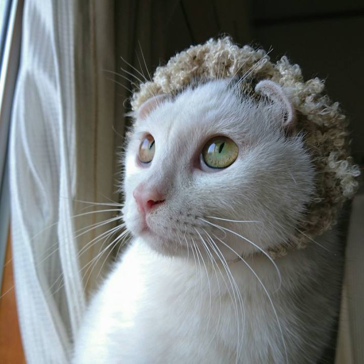 Ac5b0c3e 26fb 4f51 87a0 6ab19a228b23