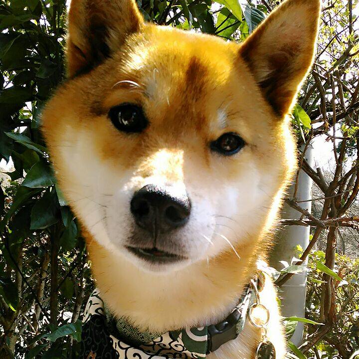 Ac5b3fc2 1abb 4c67 aefa cc1cf62f6ad7