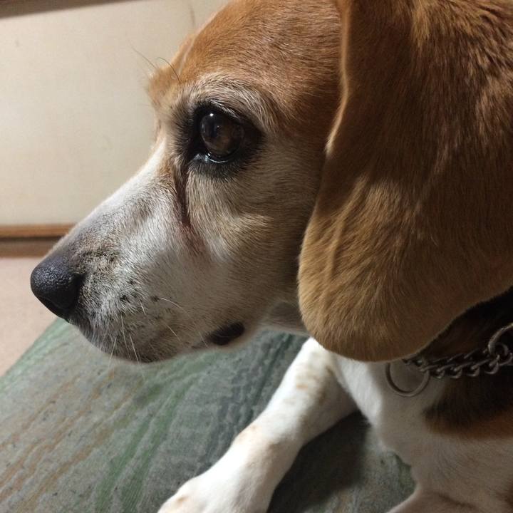 Ac5b504c 0bde 45fc 94ec 997c0533db50