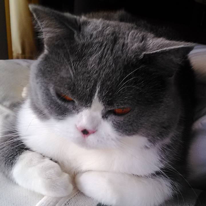 Ac5bbc6a 8968 4f93 9098 dd66ca172c33