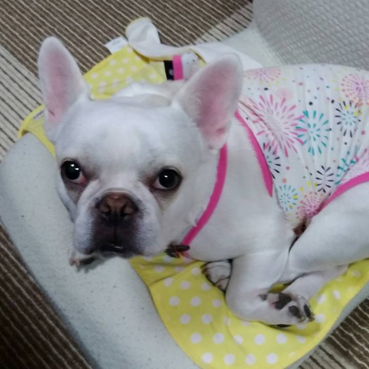 Ac5ca66b dc7e 429c a42e 542492773469