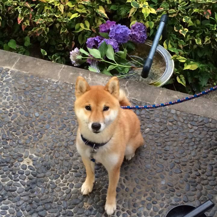 Ac5caa5d 1002 4e40 b1fd 88be6fff29dc