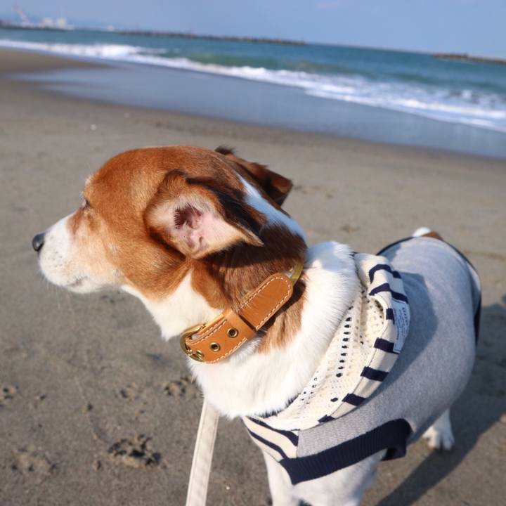 Ac5cbb26 0d98 4e04 a3fe 074d0e28371d