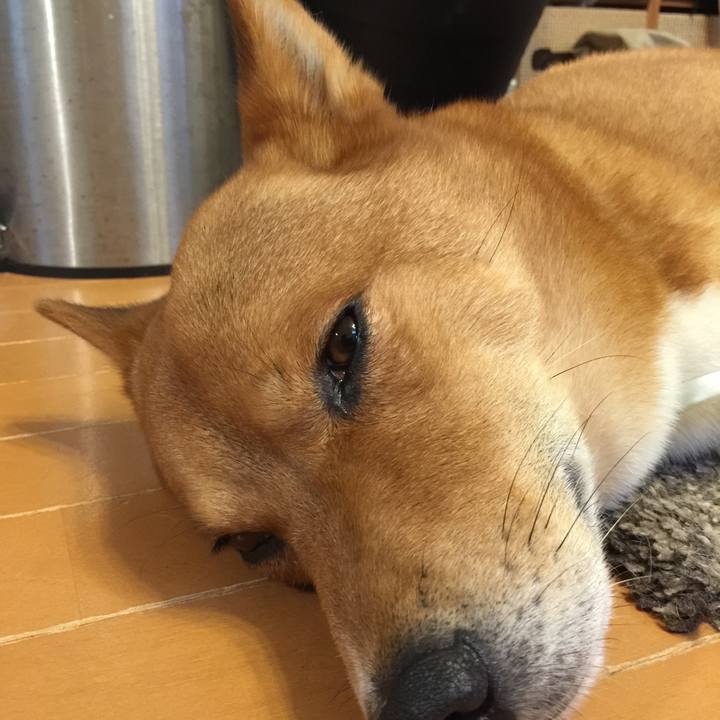 Ac5db2c3 1248 4f9a ad58 bdfb5578b765