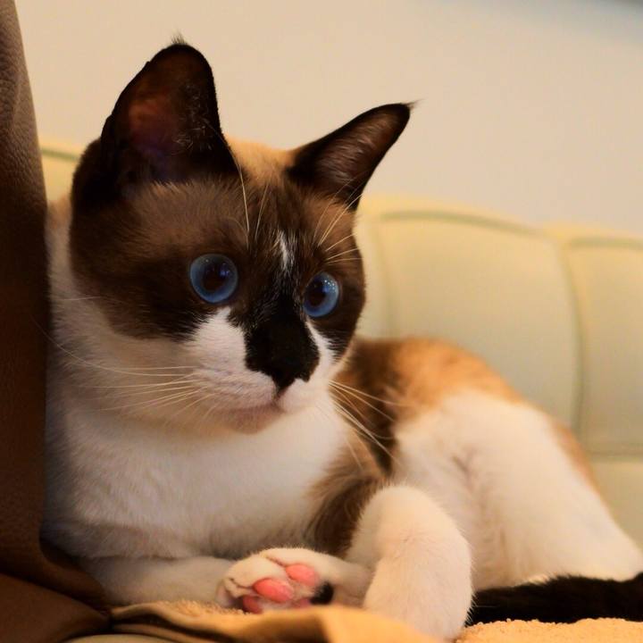 Ac5de5f5 384d 4a38 807d b78b23f4b0a1