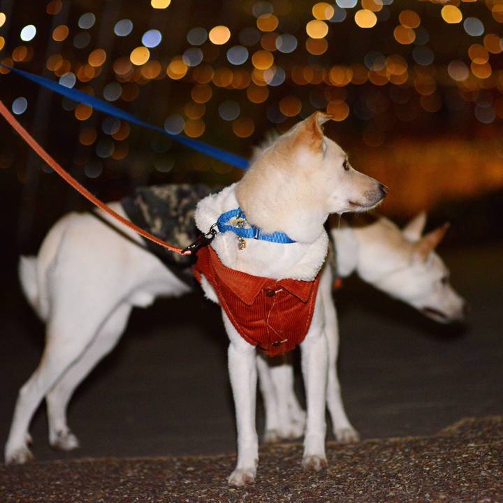 Ac5ea325 8f75 44ad 8b86 8a23c233b862