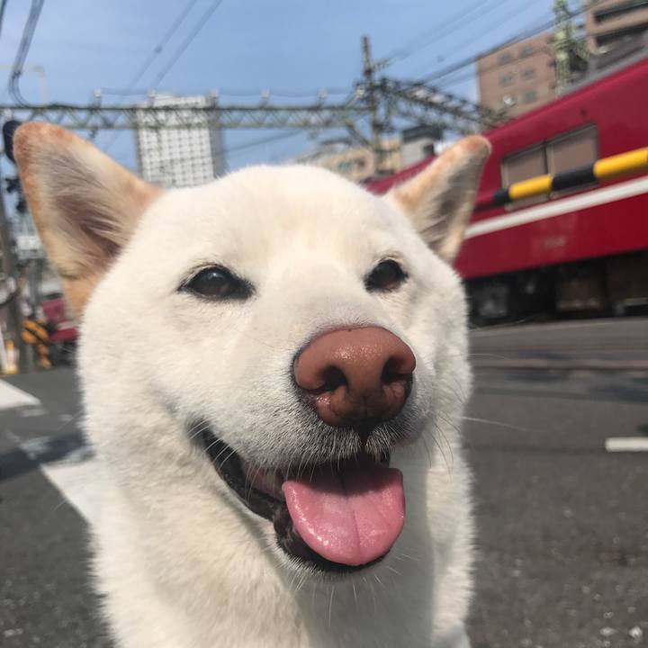 Ac5f4821 ff06 481d 9a50 02f712e33e65