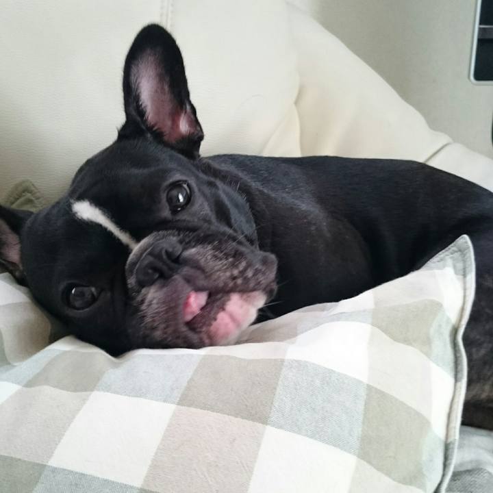 Ac5f4c2e 8ad0 443e bda3 b1286d8105eb